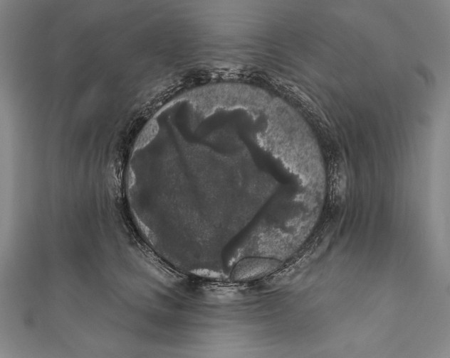 X0000111000661200907101453