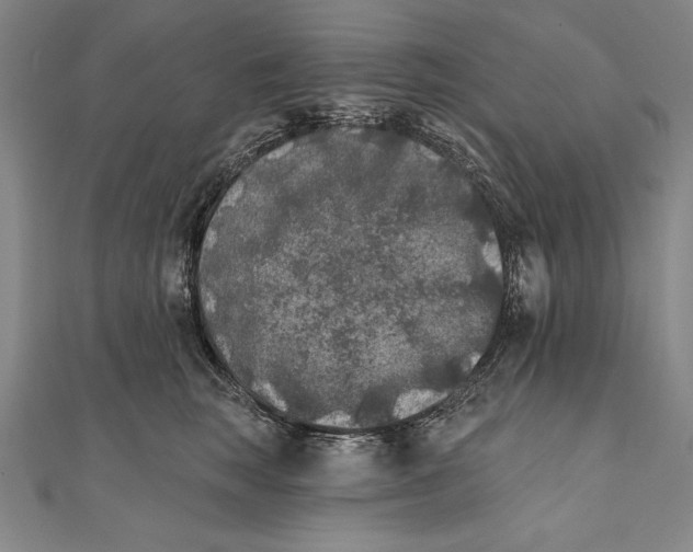 X0000111000663200907101453