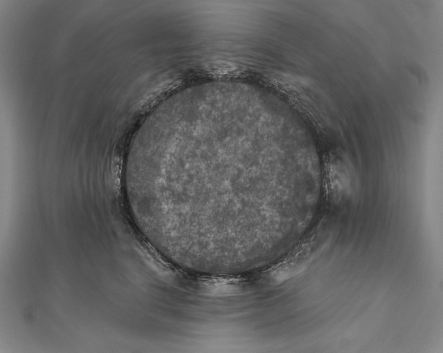 X0000111000664200907101453