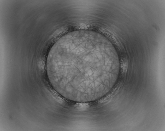 X0000111000665200907101453