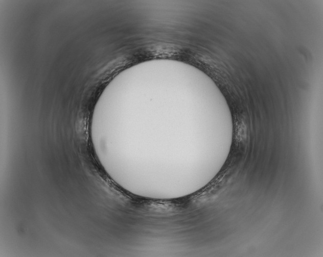 X0000111000666200907101453