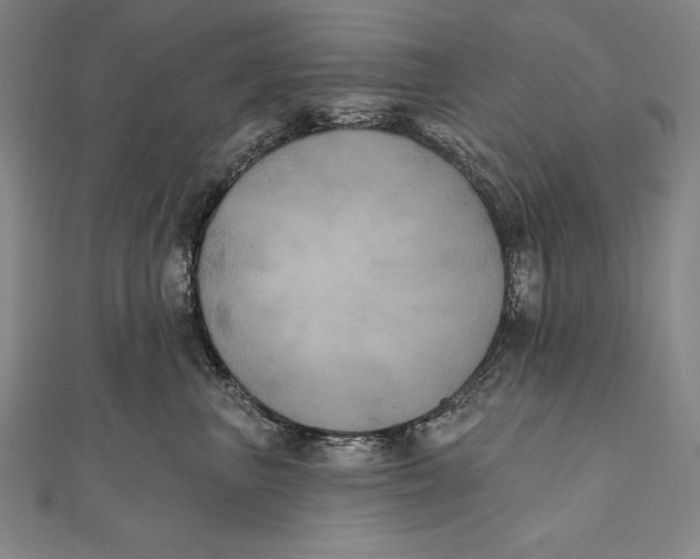 X0000111000667200907101453