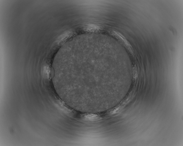 X0000111000669200907101453