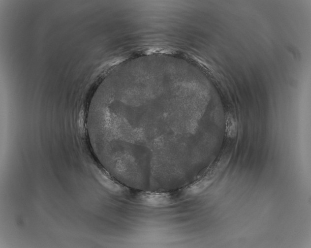 X0000111000670200907101453