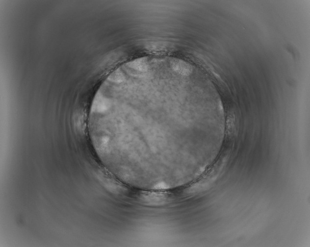 X0000111000671200907101453