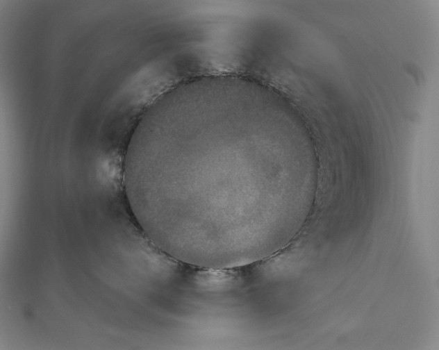 X0000111000672200907101453