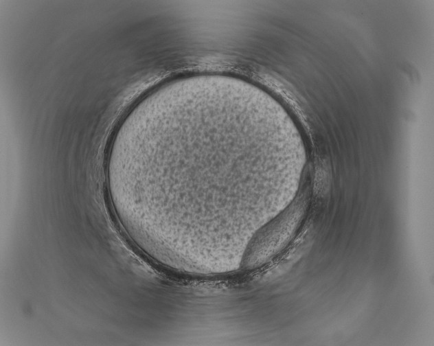 X0000111000673200907101452