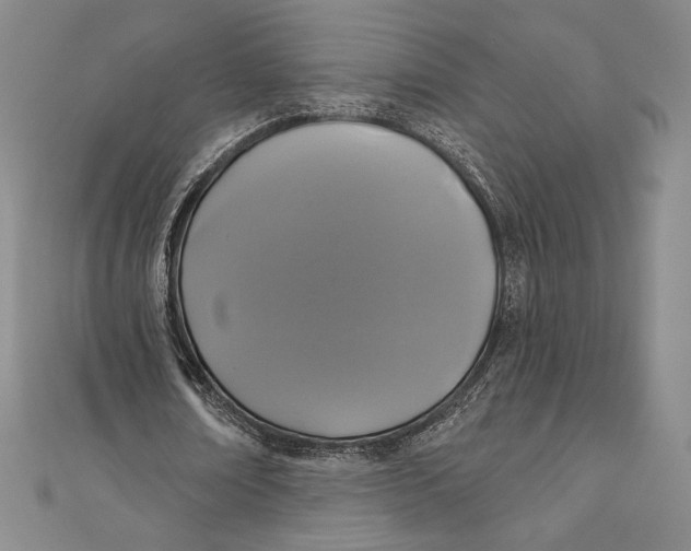 X0000111000674200907101452