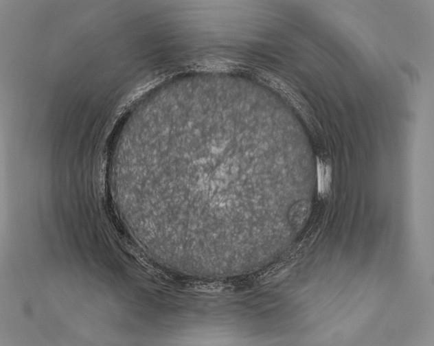 X0000111000675200907101452