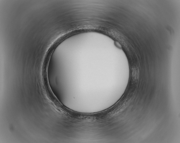 X0000111000676200907101452