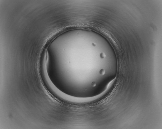 X0000111000677200907101452