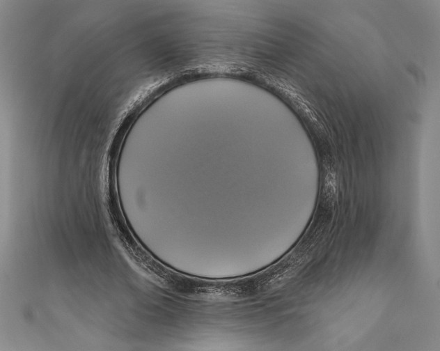 X0000111000678200907101452