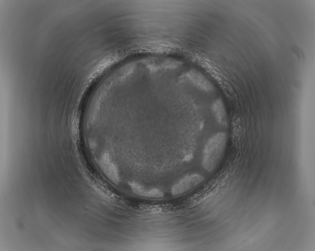 X0000111000679200907101452