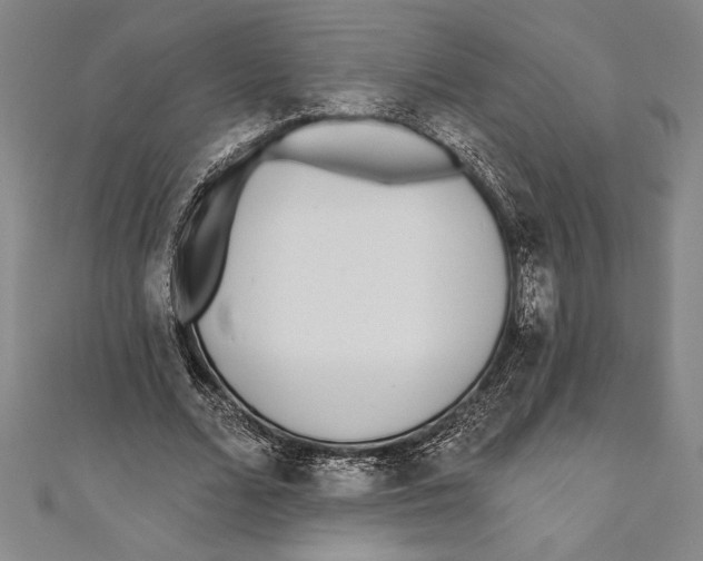 X0000111000680200907101452