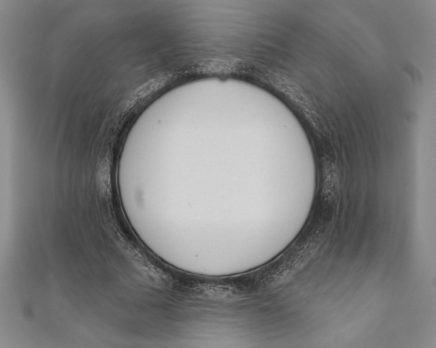 X0000111000681200907101452