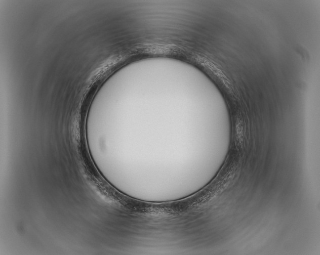 X0000111000682200907101452