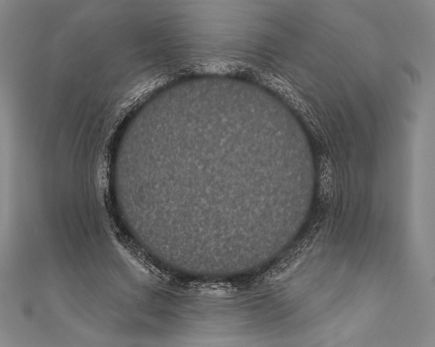 X0000111000683200907101452