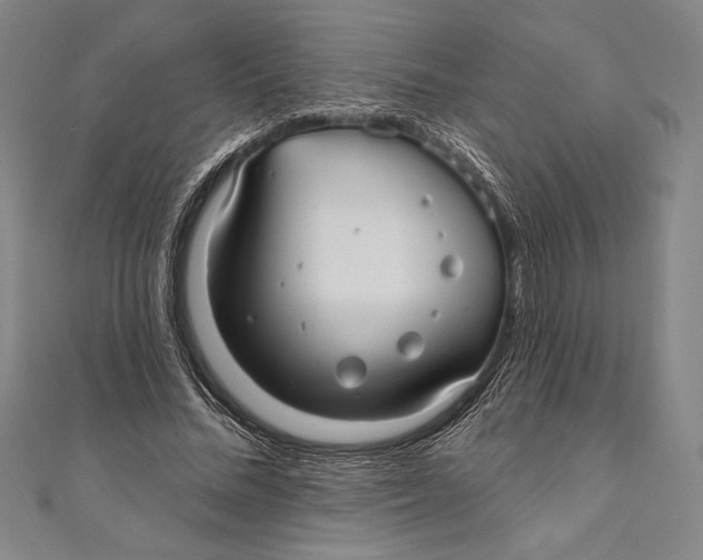 X0000111000684200907101452