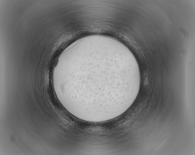 X0000111000685200907101452