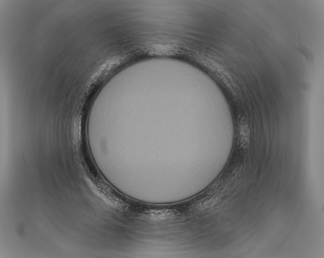 X0000111000686200907101452