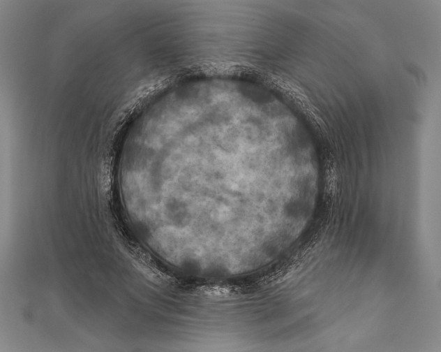 X0000111000687200907101452