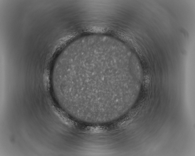 X0000111000688200907101452