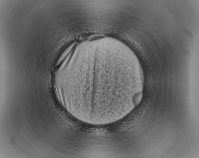 X0000111000689200907101452