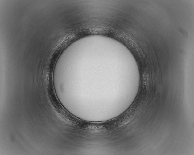 X0000111000690200907101452