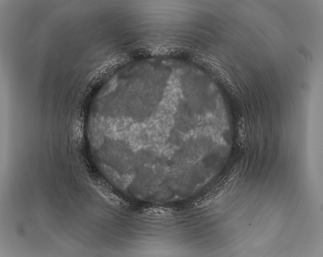 X0000111000691200907101452