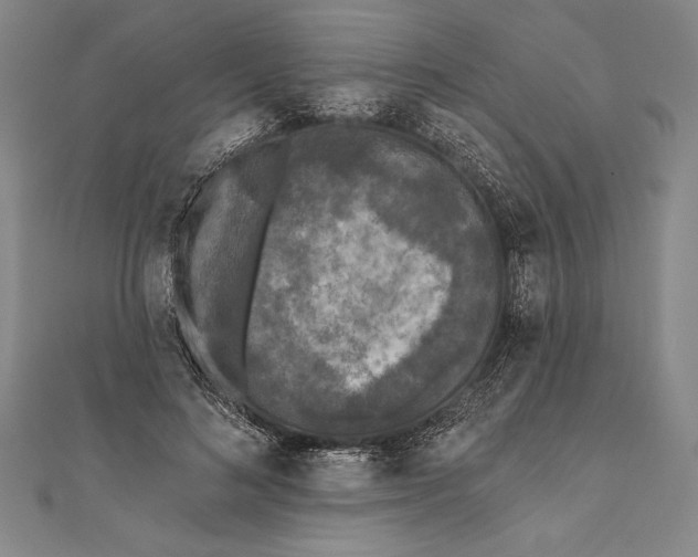 X0000111000692200907101452