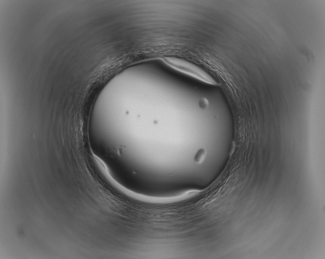 X0000111000693200907101452