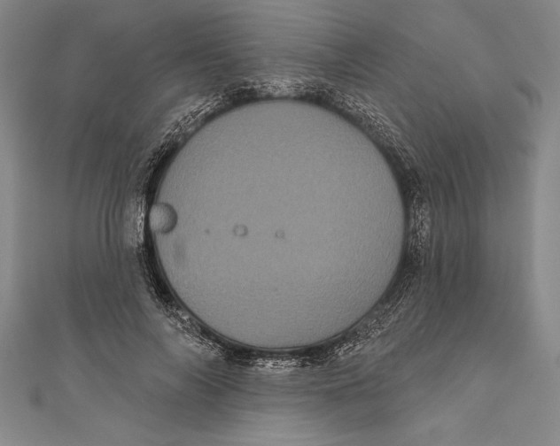 X0000111000694200907101452