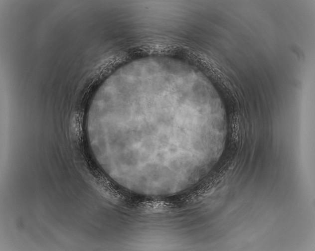 X0000111000695200907101452