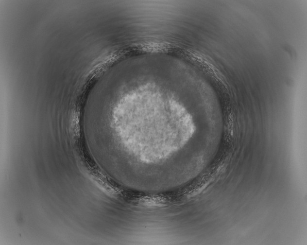 X0000111000696200907101452