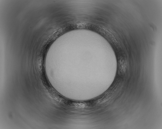 X0000111000698200907101452