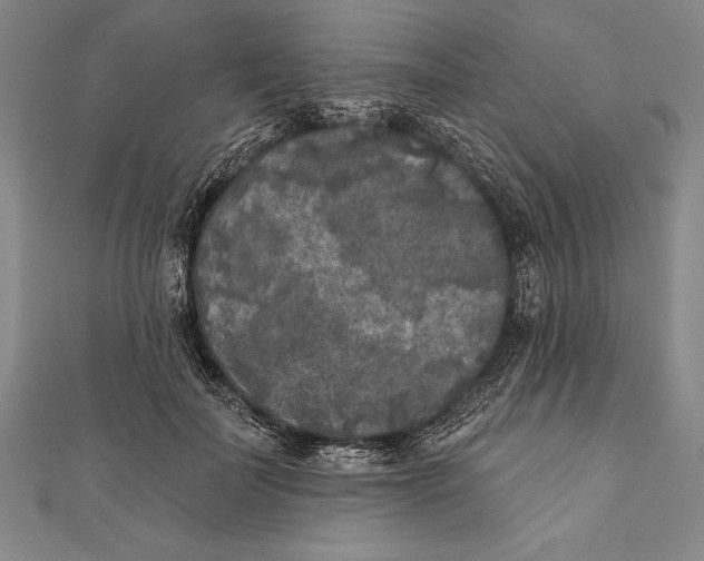 X0000111000699200907101452