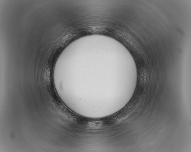 X0000111000700200907101452