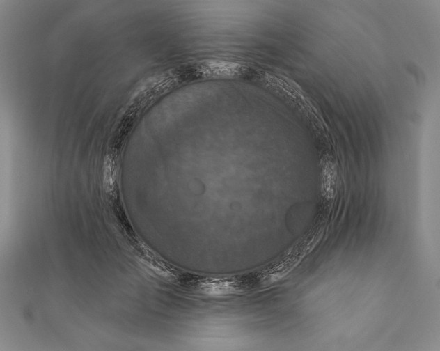 X0000111000701200907101452