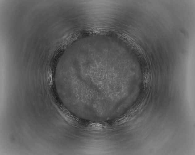 X0000111000703200907101452