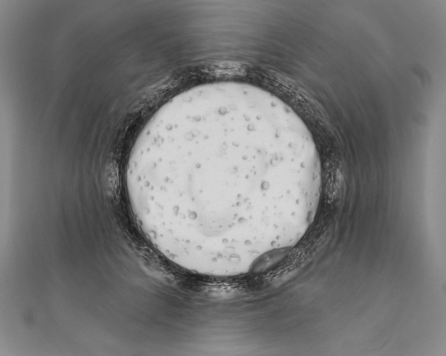 X0000111000704200907101452