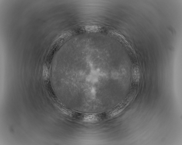 X0000111000705200907101452