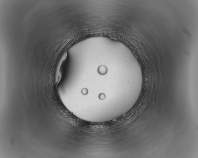 X0000111000708200907101452