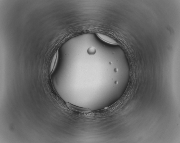 X0000111000709200907101452