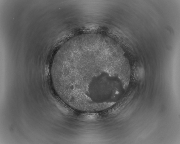 X0000111000711200907101452