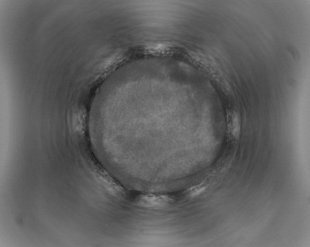 X0000111000712200907101452