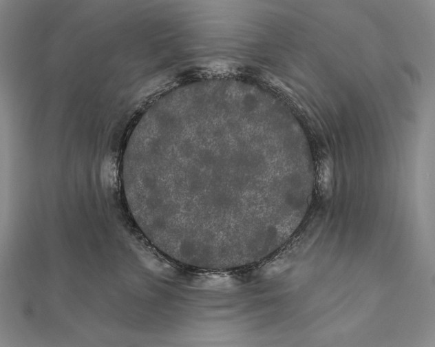 X0000111000715200907101452