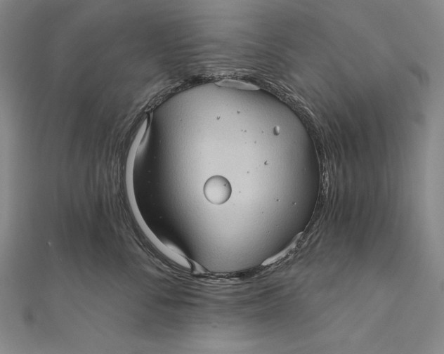 X0000111000716200907101452