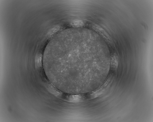 X0000111000717200907101452