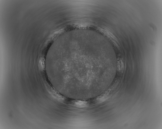 X0000111000718200907101452