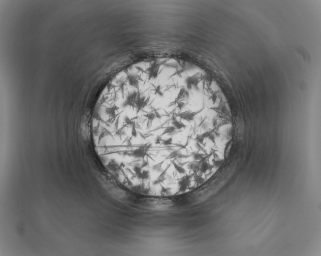 X0000111000719200907101452